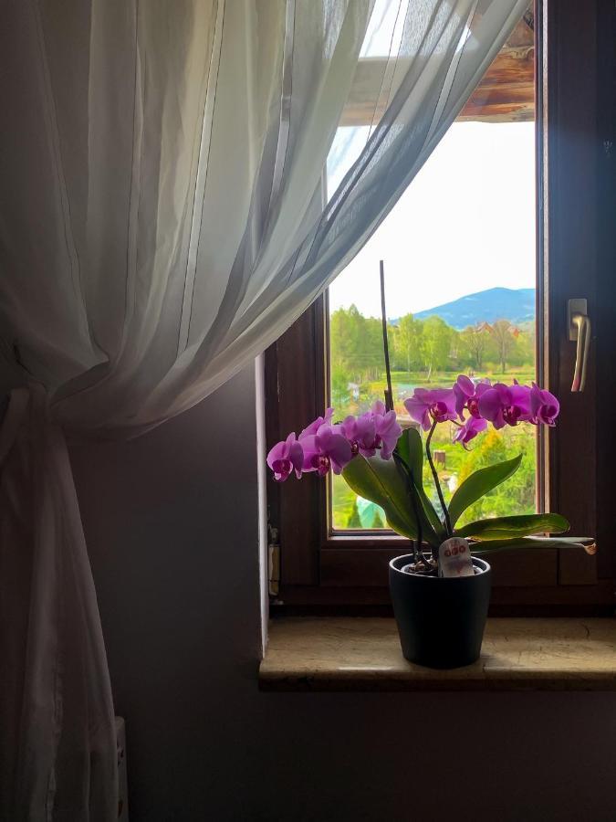 Po Drodze Apartamento Stronie Śląskie Exterior foto